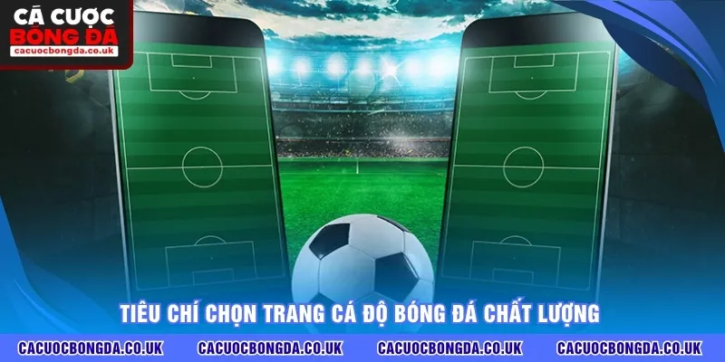 Tiêu chí chọn trang cá độ bóng đá chất lượng